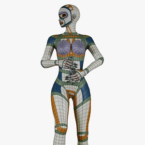 Female Body Base Mesh Topology