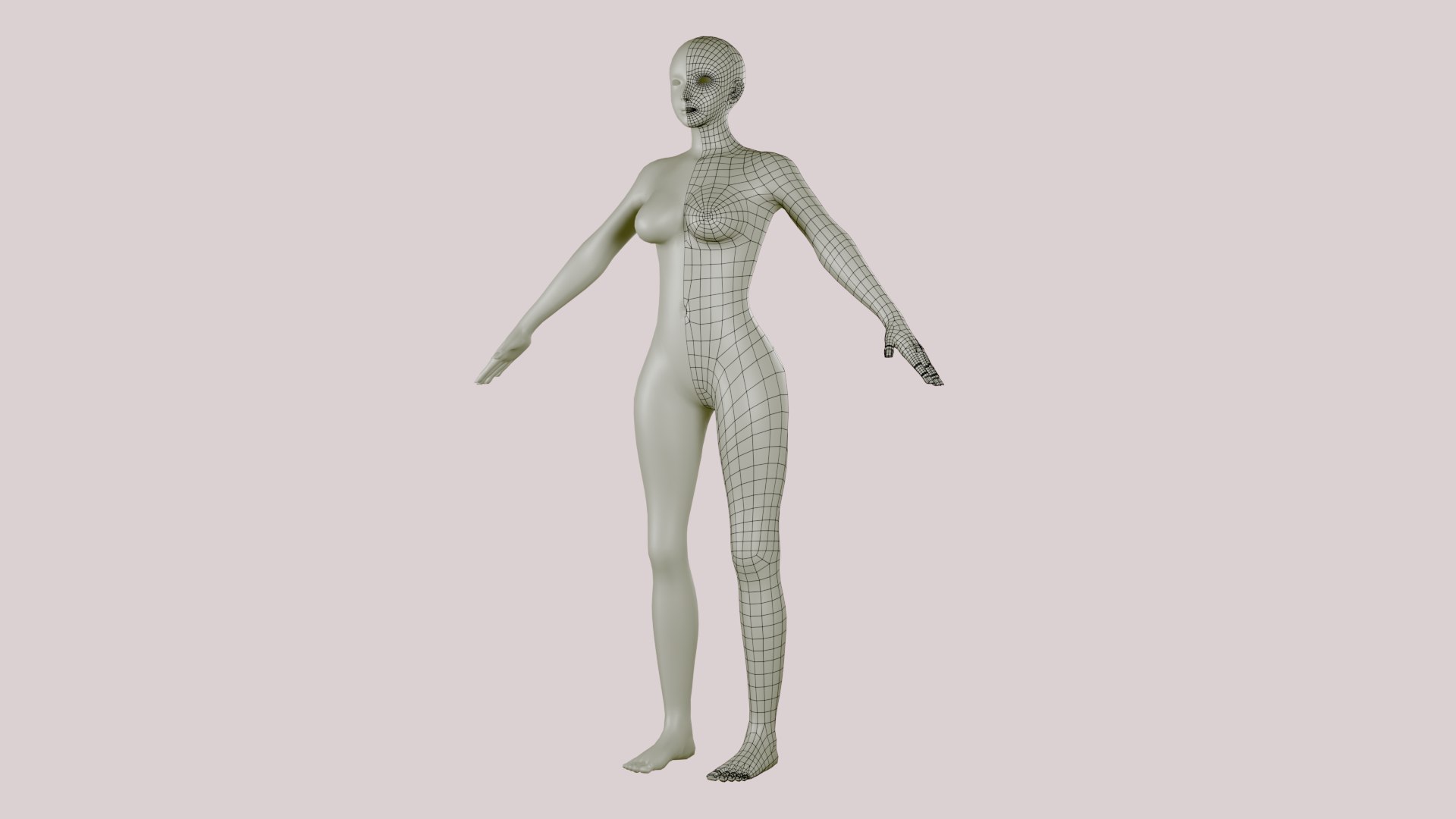 Female Body Base Mesh Topology 3D model https://p.turbosquid.com/ts-thumb/0E/vieZJd/pT/femalebodybasemeshtopology2222/png/1708570284/1920x1080/fit_q87/6a2da0da00b5fa6476b87531ab54fbf59900a546/femalebodybasemeshtopology2222.jpg