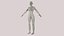 Topologia mesh della base del corpo femminile