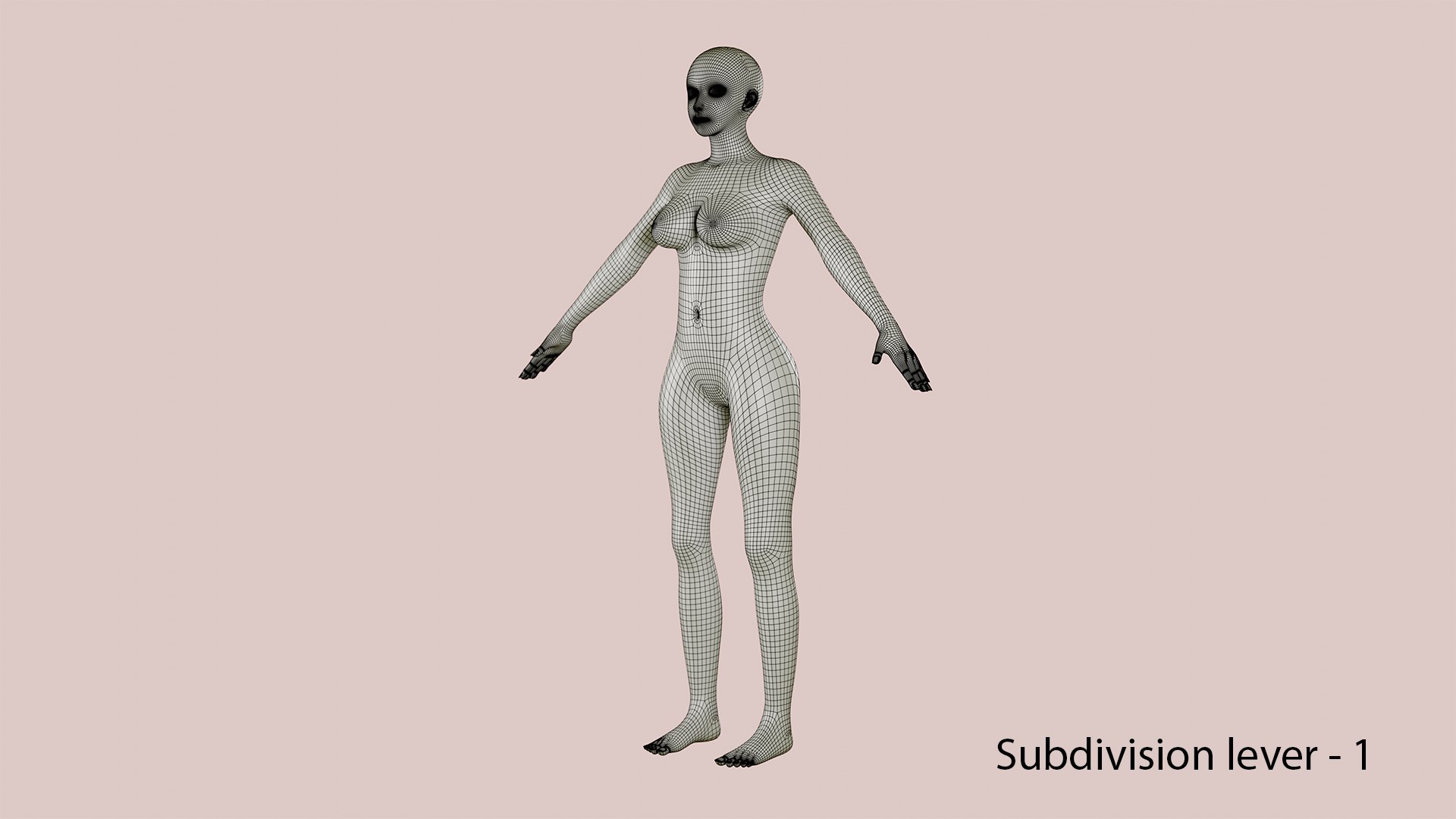 Female Body Base Mesh Topology 3D model https://p.turbosquid.com/ts-thumb/0E/vieZJd/xp/subdivision02/png/1708346020/1920x1080/fit_q87/3cbe3aa8eab9817d6787f29672ad89ad820c87ae/subdivision02.jpg