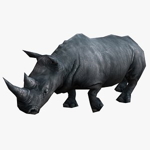 rhinoceros rhino 3D model
