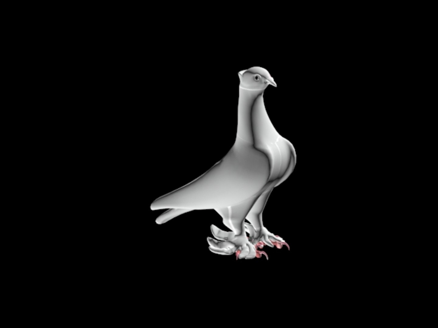 3D Turkish Mardin pigeons 3D model https://p.turbosquid.com/ts-thumb/0F/3W7jeq/5R/5/jpg/1659039842/1920x1080/fit_q87/dc062b3c8e6177d0a844cab6fd46525e90b80626/5.jpg