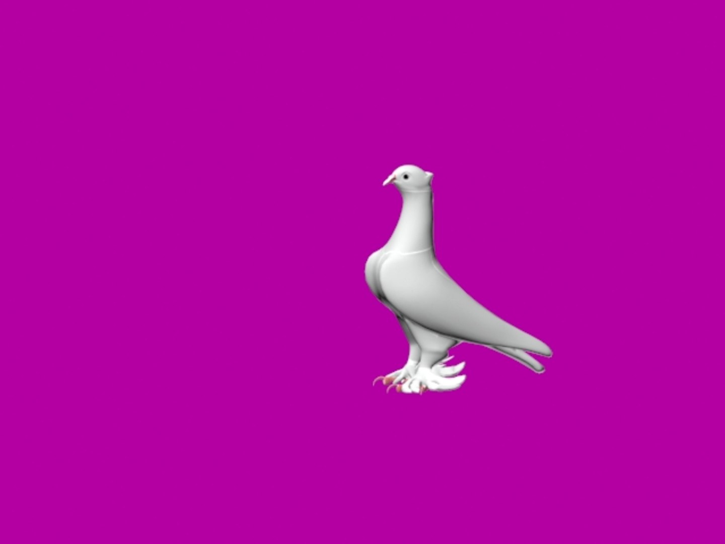 3D Turkish Mardin pigeons 3D model https://p.turbosquid.com/ts-thumb/0F/3W7jeq/8v/1/jpg/1659039843/1920x1080/fit_q87/c5479a9d1d8c190522f04dc7f874de9023dcd419/1.jpg
