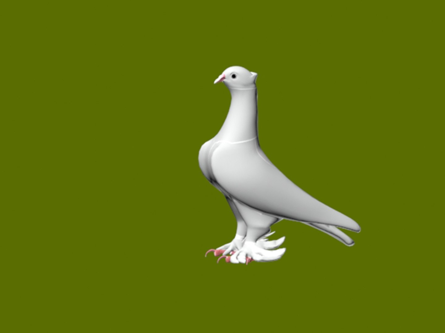 3D Turkish Mardin pigeons 3D model https://p.turbosquid.com/ts-thumb/0F/3W7jeq/Y3/2kopya/jpg/1659041376/1920x1080/fit_q87/f55e374555d4ad1bc57e469fa47e572d45f1177d/2kopya.jpg