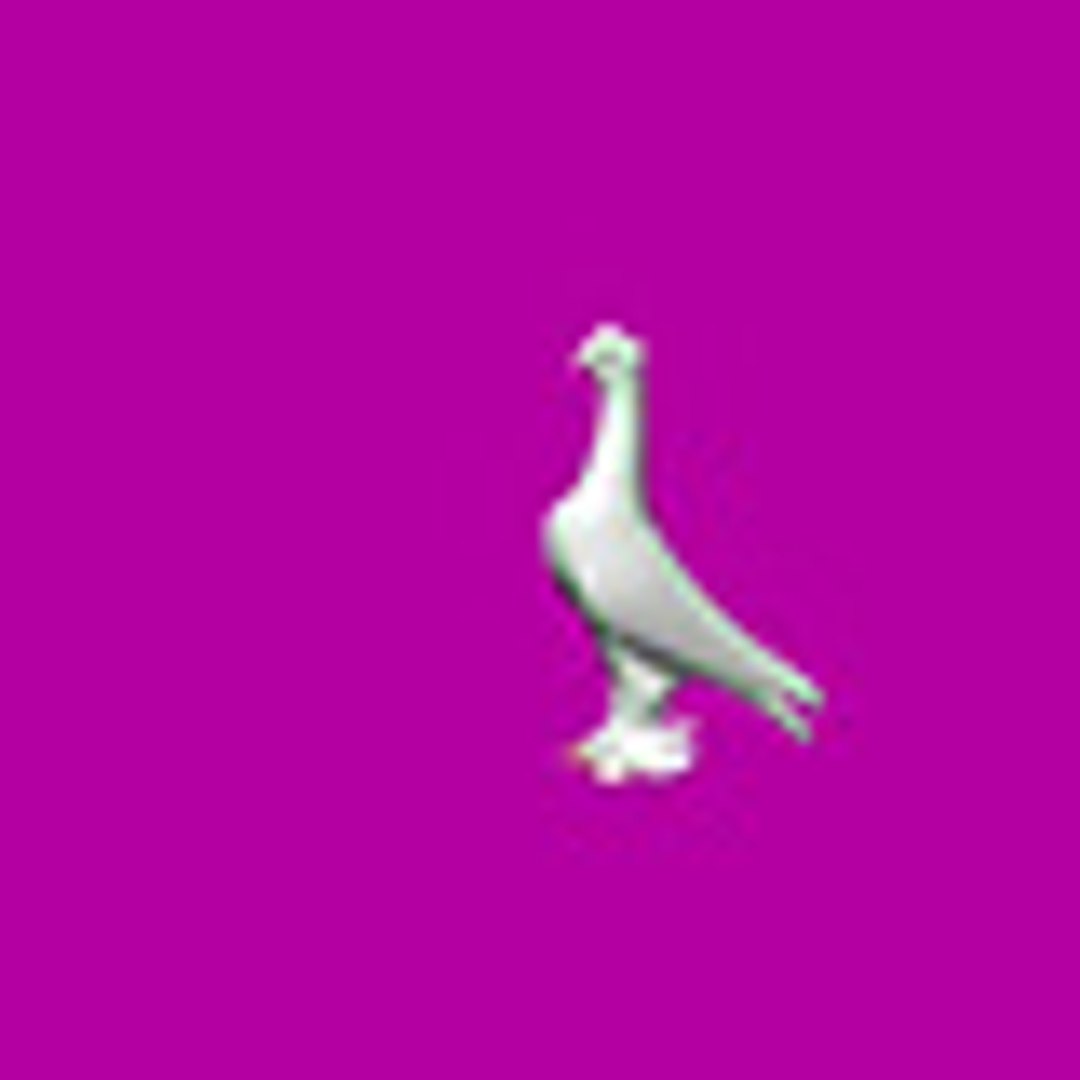 3D Turkish Mardin pigeons 3D model https://p.turbosquid.com/ts-thumb/0F/3W7jeq/rw/802/jpg/1659041378/1920x1080/fit_q87/4bec55ca6e2f24065ee1f0bc605de6d955317be6/802.jpg