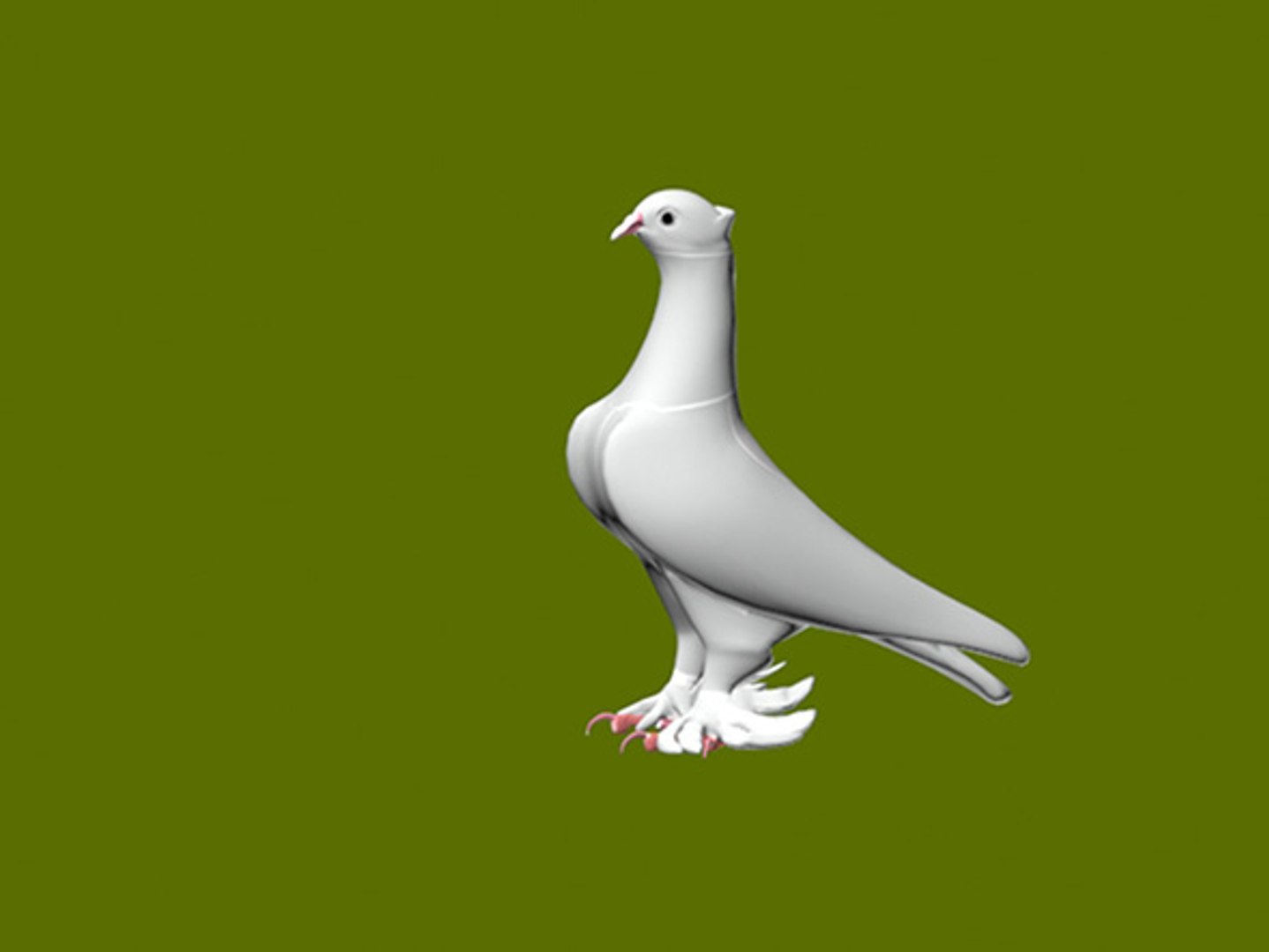 3D Turkish Mardin pigeons 3D model https://p.turbosquid.com/ts-thumb/0F/3W7jeq/ue/590/jpg/1659041380/1920x1080/fit_q87/f492aa780297c1bfbcc27b3c78a69fbc6558595e/590.jpg