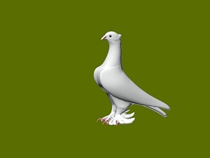 Turkish Mardin pigeons 3D model