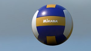 VolleyBall Ball