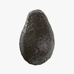 3D avocado fruit