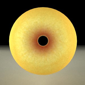 eye lion 3d model