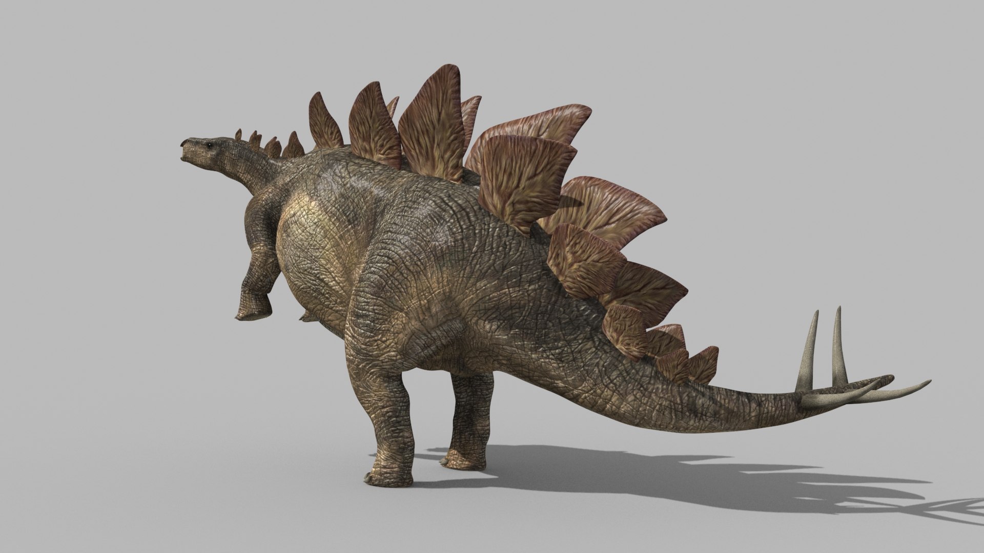 Stegosaur Forever - 8K 3D model https://p.turbosquid.com/ts-thumb/0F/N57efb/B7/8/jpg/1643394484/1920x1080/fit_q87/0de88fe04cf9174724b5087f5bde41cf884edda2/8.jpg