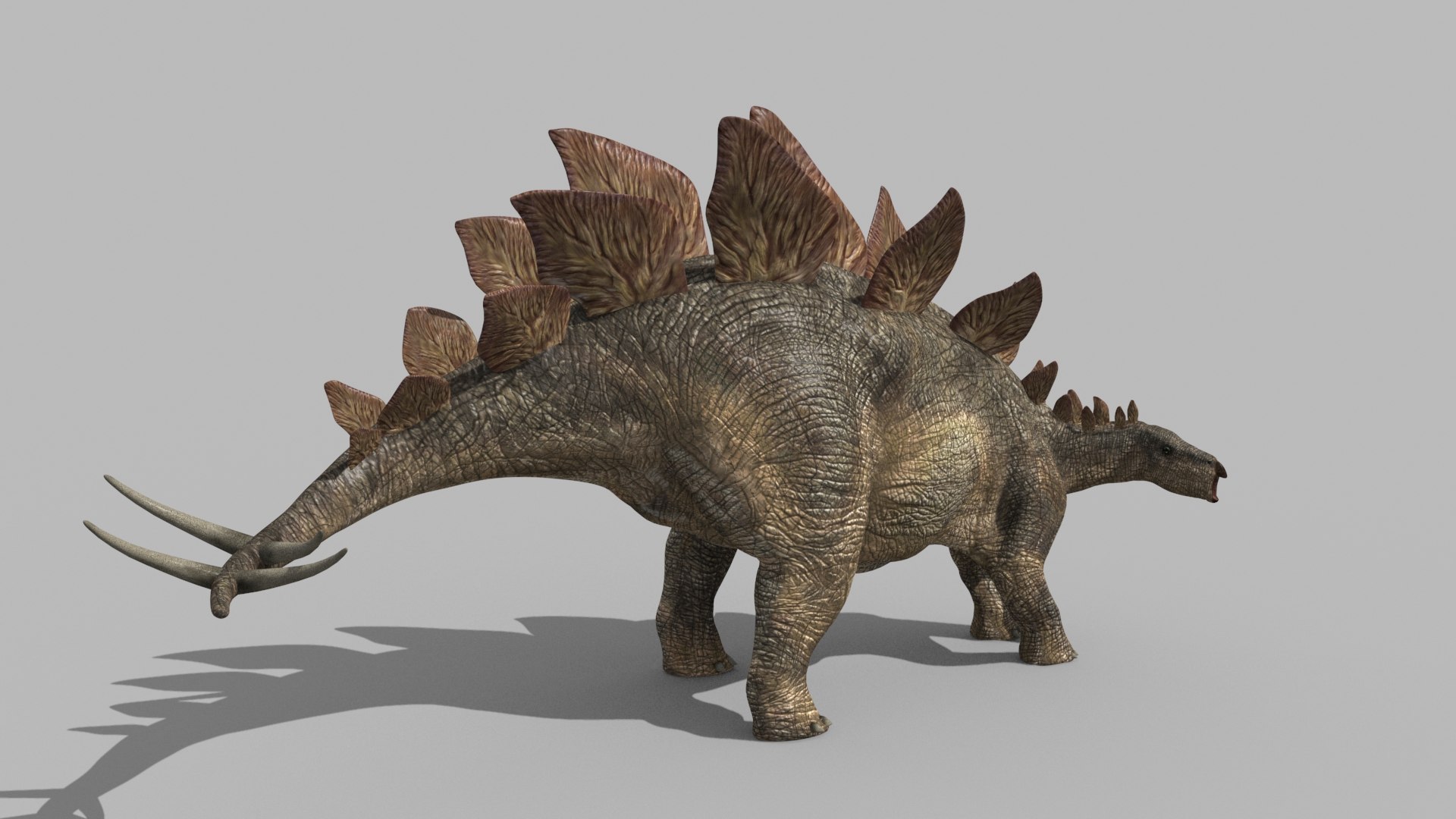 Stegosaur Forever - 8K 3D model https://p.turbosquid.com/ts-thumb/0F/N57efb/Kg/7/jpg/1643394483/1920x1080/fit_q87/b456326eb47e10928ff0acdd5c13b07372a0753c/7.jpg