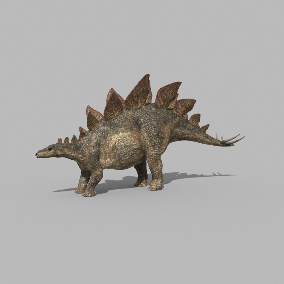 Stegosaur Forever - 8K 3D model https://p.turbosquid.com/ts-thumb/0F/N57efb/M2/image/jpg/1643396027/1920x1080/turn_fit_q99/c2fd3f5b5688ee04a307fa47f58bc51004caac3c/image-1.jpg