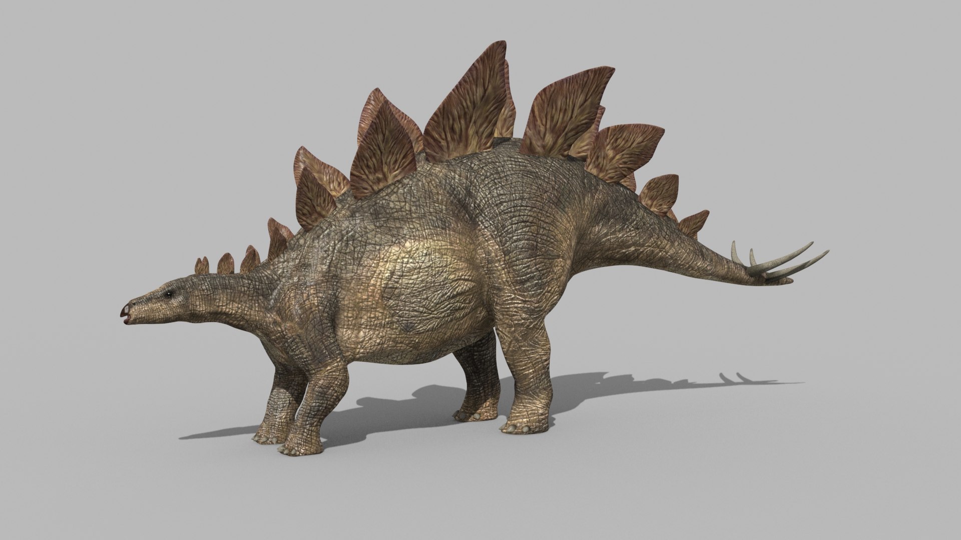Stegosaur Forever - 8K 3D model https://p.turbosquid.com/ts-thumb/0F/N57efb/Nu/1/jpg/1643394484/1920x1080/fit_q87/d65f87e8394f18c6fe736996fdc87d7e4236b72e/1.jpg