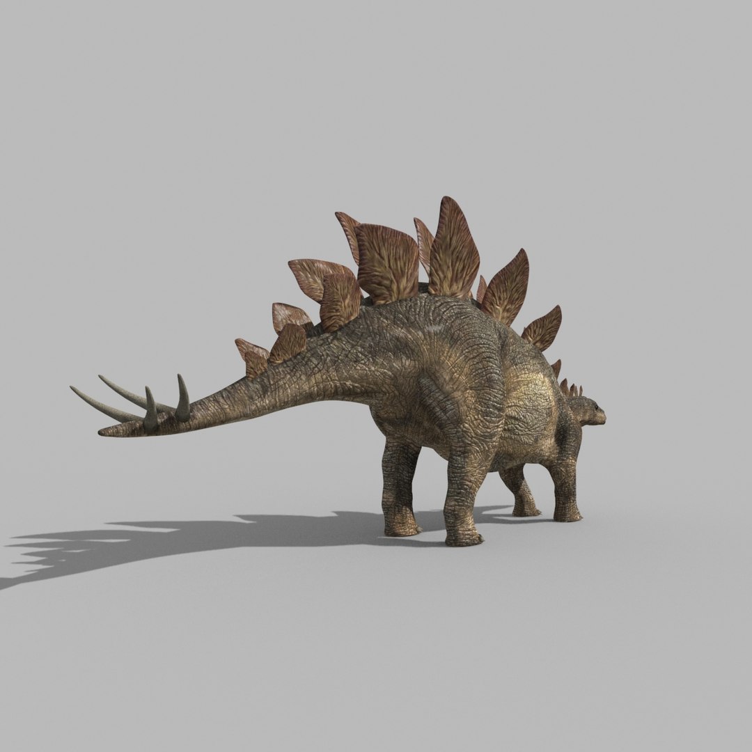 Stegosaur Forever - 8K 3D model https://p.turbosquid.com/ts-thumb/0F/N57efb/ik/20/jpg/1643394484/1920x1080/fit_q87/ba162c7622d55915b0ad72f7e893c432ed218528/20.jpg