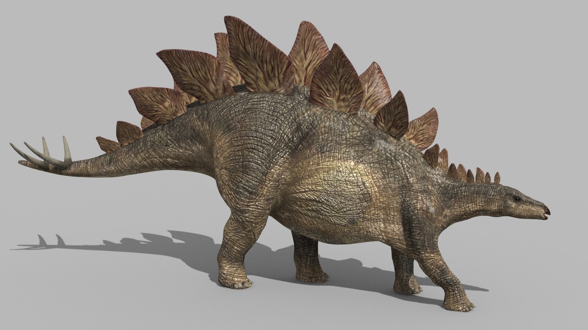 Stegosaur Forever - 8K 3D model https://p.turbosquid.com/ts-thumb/0F/N57efb/jC/6/jpg/1643394484/1920x1080/fit_q87/f47e6704f5fc3837a8770e244e7801b7fee152a2/6.jpg