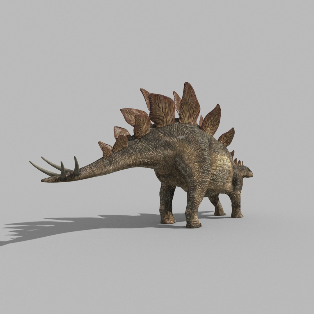 Stegosaur Forever - 8K 3D model https://p.turbosquid.com/ts-thumb/0F/N57efb/pf/image/jpg/1643396309/1920x1080/turn_fit_q99/49567cb7220512ccad6031c432ae57c0770e738d/image-1.jpg