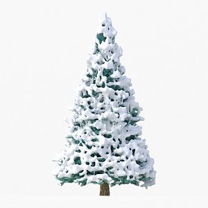 Abies No 2 with Snow 3D model