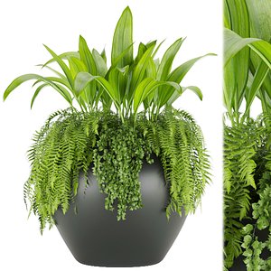 3D Collection plant vol 46