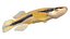 Poisson Topminnow à taches noires