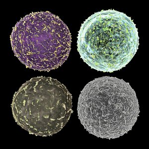 3D virus set