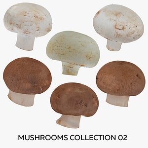 Mushrooms Collection 02 - 6 models RAW Scans 3D model