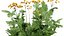 Fresh Veggies 3D Collection