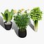 Fresh Veggies 3D Collection