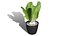 Fresh Veggies 3D Collection