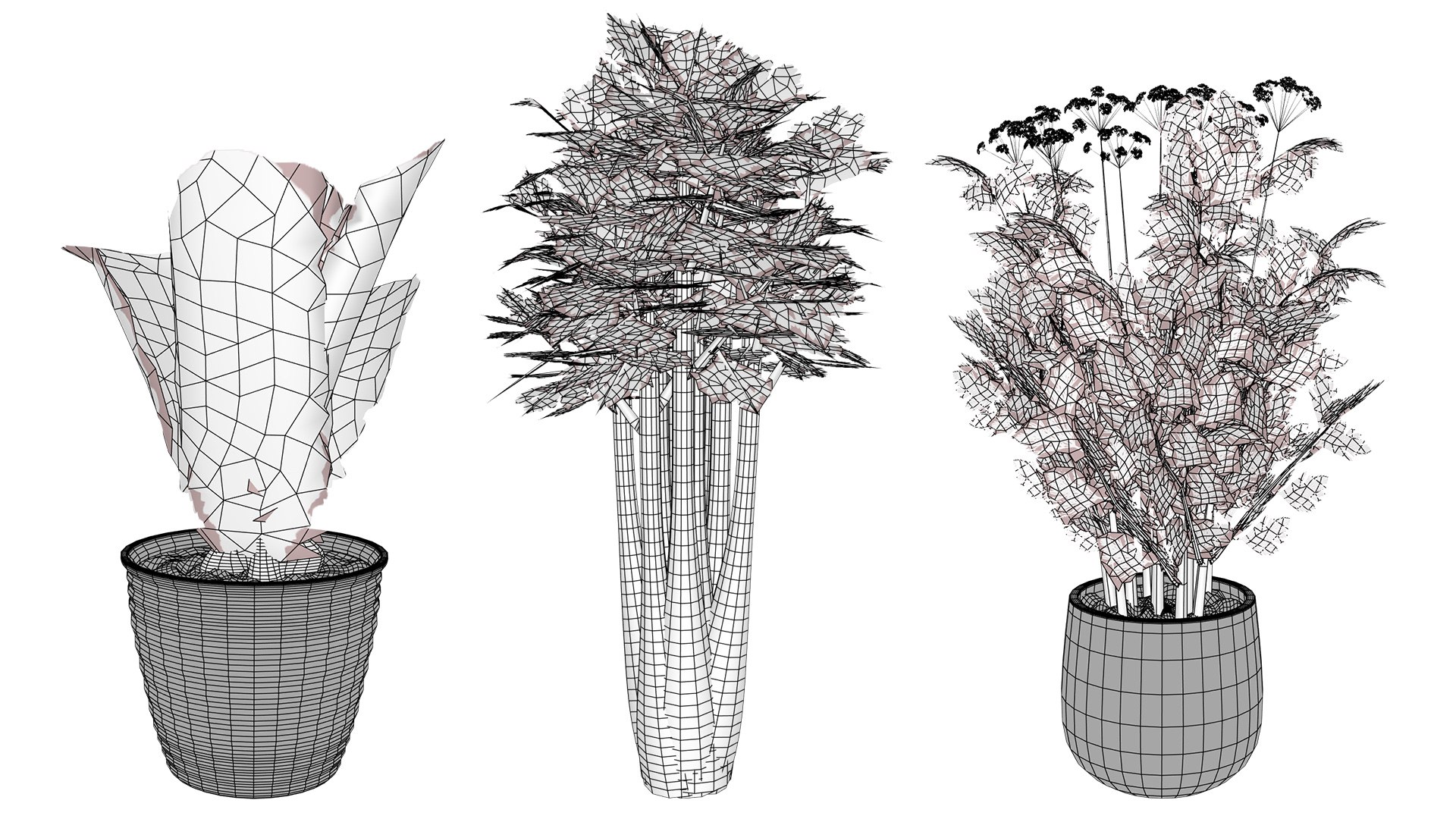 3D Fresh Veggies 3D Collection model https://p.turbosquid.com/ts-thumb/0F/eHl9zm/e2/wirel/jpg/1752442936/1920x1080/fit_q87/95cc44ae3c852b583ee9b0e67b835a0abcdb06d6/wirel.jpg