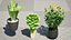 Fresh Veggies 3D Collection