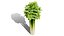 Fresh Veggies 3D Collection