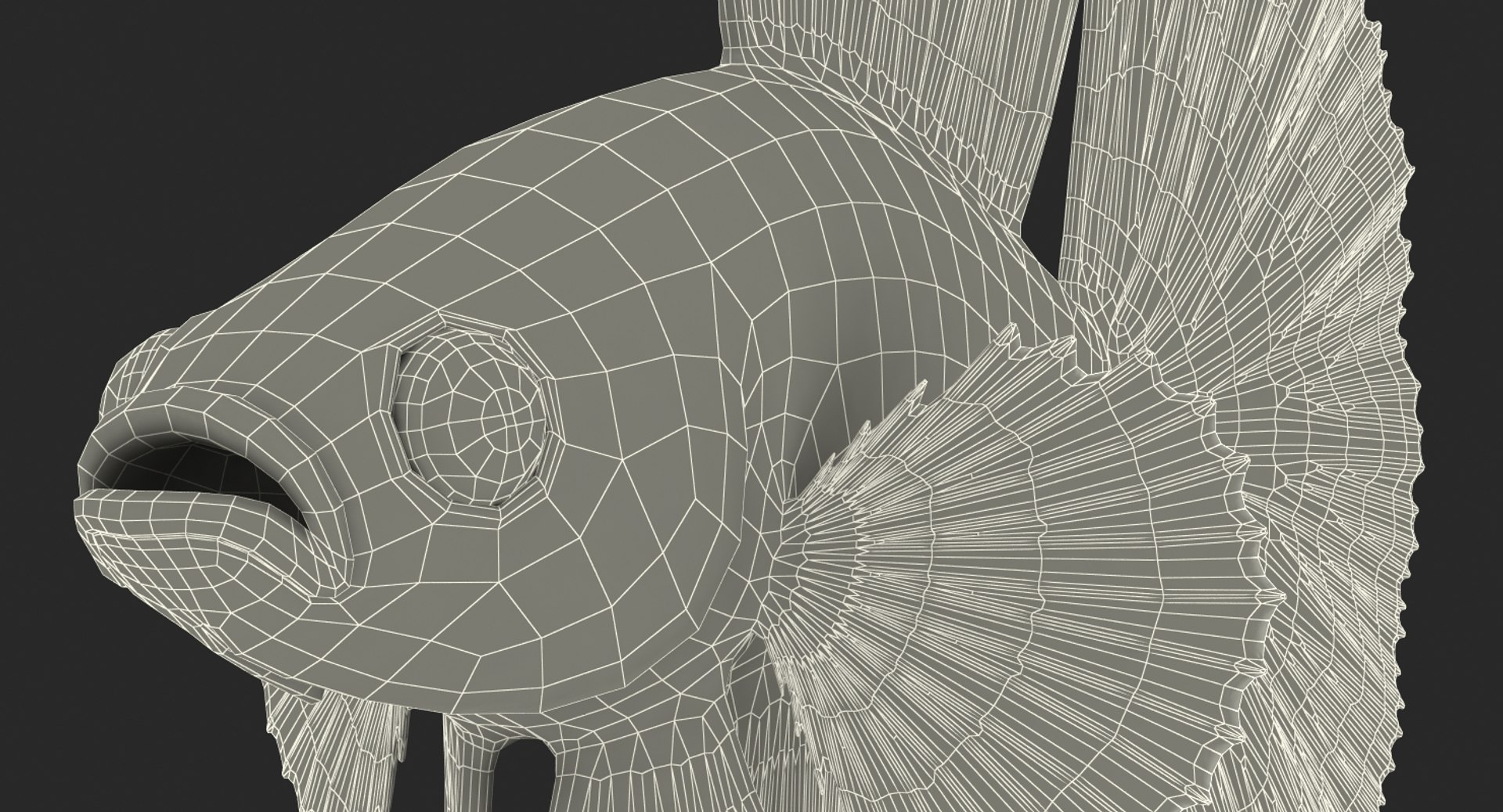blue betta fish rigged 3D model https://p.turbosquid.com/ts-thumb/0F/enMbGE/TMC14Z0S/bluebettafishriggedc4dmodel021/jpg/1515339094/1920x1080/fit_q87/26749aebbe92a075e88b1c3d34cbabc17fc90a3d/bluebettafishriggedc4dmodel021.jpg
