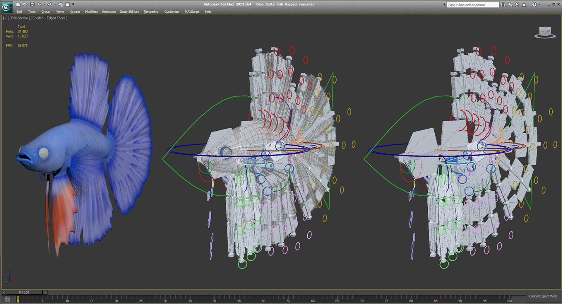blue betta fish rigged 3D model https://p.turbosquid.com/ts-thumb/0F/enMbGE/cDOs84EB/bluebettafishriggedc4dmodel015/jpg/1515339094/1920x1080/fit_q87/4d6e548f8740ab6a1d20a0d8853249241a13847e/bluebettafishriggedc4dmodel015.jpg