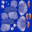 blue betta fish rigged 3D model