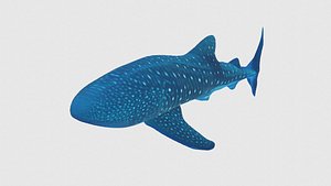 3D Low Poly Whaleshark Rigged With Realistic Texture model