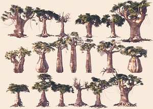 Baobab Forest Pack 19 Animated