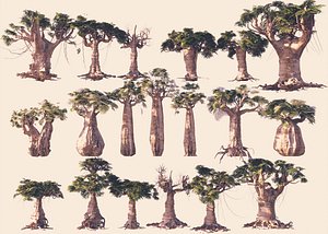 Baobab Forest Pack 19 Animated