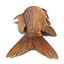 Carp Fish