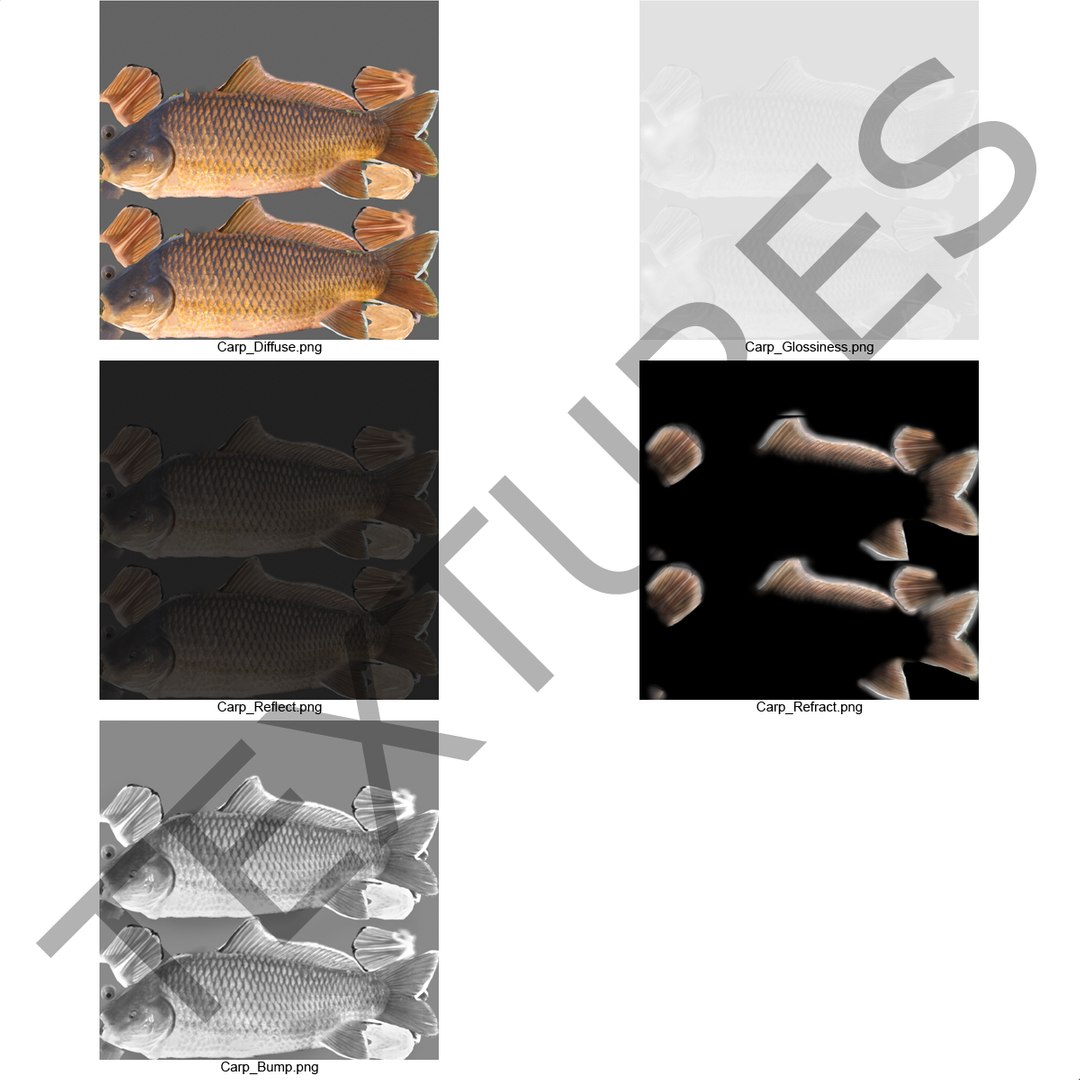 carp fish max https://p.turbosquid.com/ts-thumb/0F/u5k5Ru/jefjvpBR/carpfish_4/jpg/1402737191/1920x1080/fit_q87/1793c9e7d961f69e7ab63167920d9cd1412d3e1e/carpfish_4.jpg