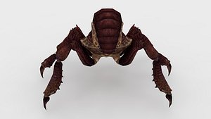 3d Spider model