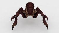3d Spider