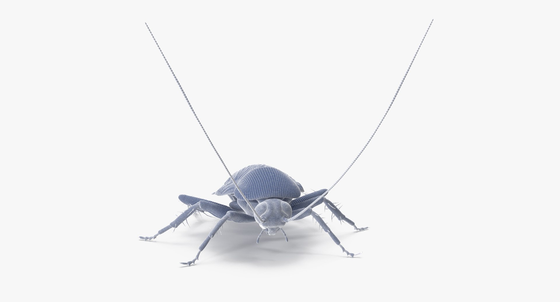 Cockroach Poses 3d Model