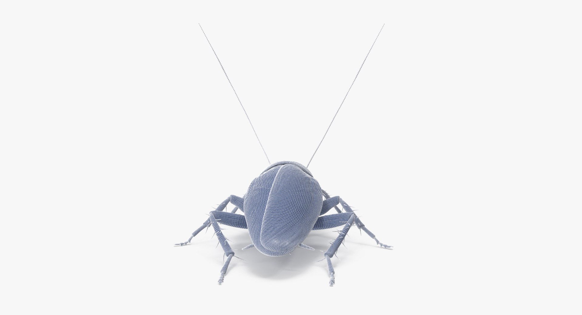 Cockroach Poses 3d Model