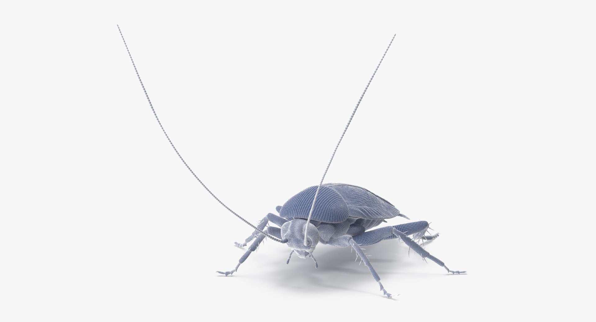 Cockroach Poses 3d Model
