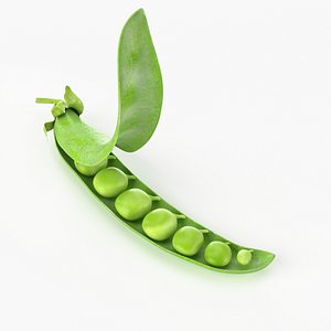 3d realistic peas real vegetables