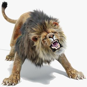 lion 2 fur colors model