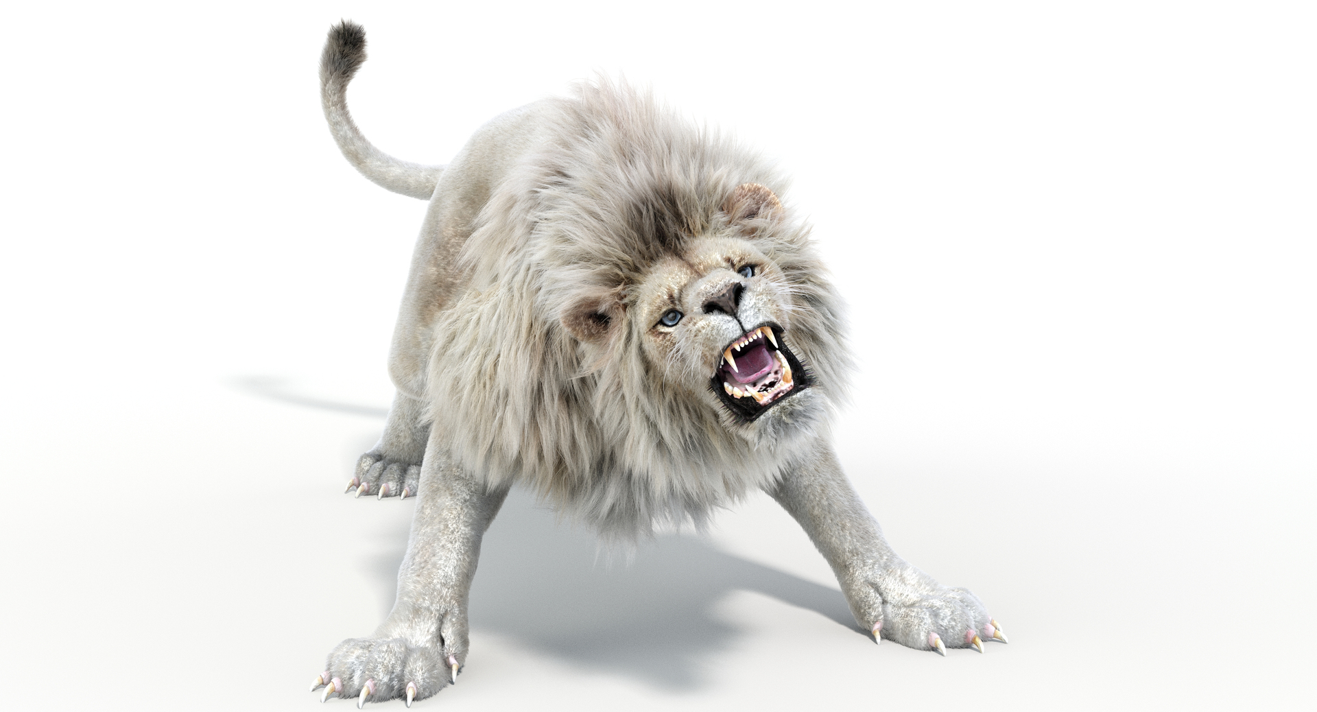 Lion 2 fur colors model - TurboSquid 1156859