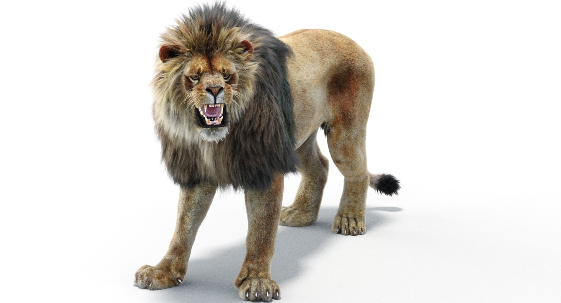 Lion 2 fur colors model - TurboSquid 1156859
