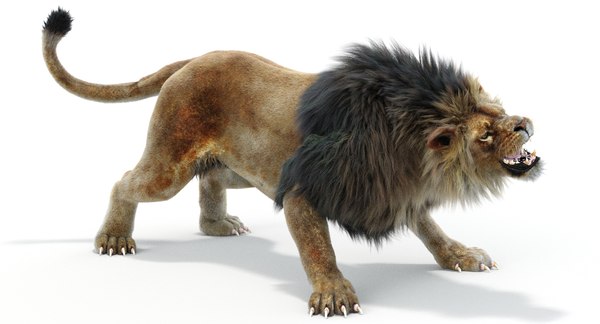 Lion 2 fur colors model - TurboSquid 1156859